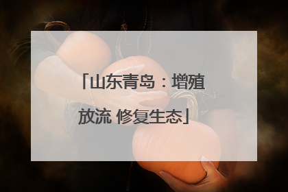 山东青岛：增殖放流 修复生态