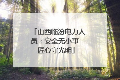 山西临汾电力人员：安全无小事 匠心守光明