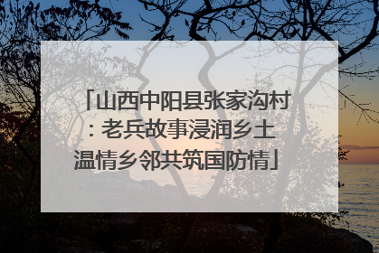 山西中阳县张家沟村：老兵故事浸润乡土 温情乡邻共筑国防情