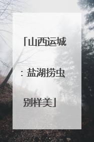 山西运城：盐湖捞虫别样美