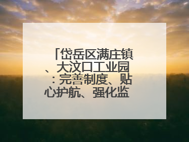 岱岳区满庄镇、大汶口工业园：完善制度、贴心护航、强化监管，打造优质营商“强磁场”