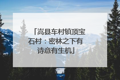 嵩县车村镇顶宝石村：密林之下有诗意有生机