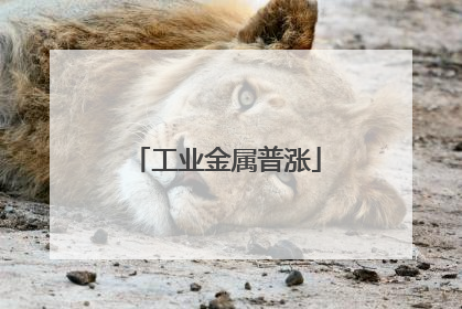 工业金属普涨