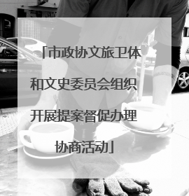市政协文旅卫体和文史委员会组织开展提案督促办理协商活动