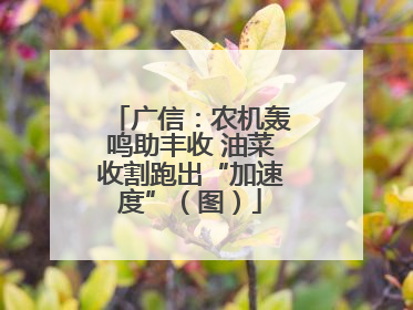 广信：农机轰鸣助丰收 油菜收割跑出“加速度”（图）