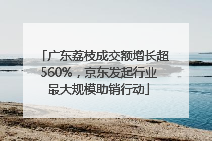 广东荔枝成交额增长超560%，京东发起行业最大规模助销行动