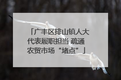广丰区排山镇人大代表履职担当 疏通农贸市场“堵点”