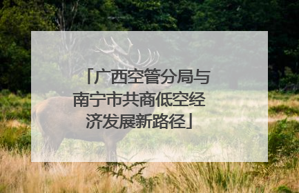 广西空管分局与南宁市共商低空经济发展新路径