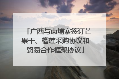 广西与柬埔寨签订芒果干、榴莲采购协议和贸易合作框架协议