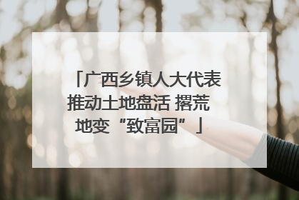 广西乡镇人大代表推动土地盘活 撂荒地变“致富园”