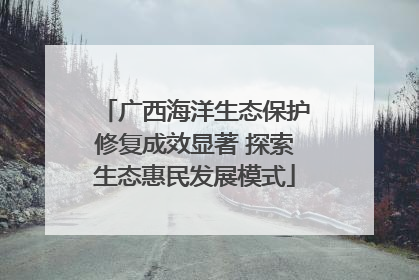 广西海洋生态保护修复成效显著 探索生态惠民发展模式
