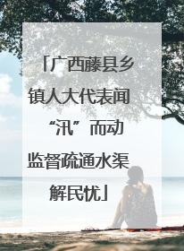 广西藤县乡镇人大代表闻“汛”而动 监督疏通水渠解民忧