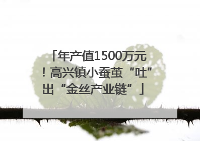 年产值1500万元！高兴镇小蚕茧“吐”出“金丝产业链”