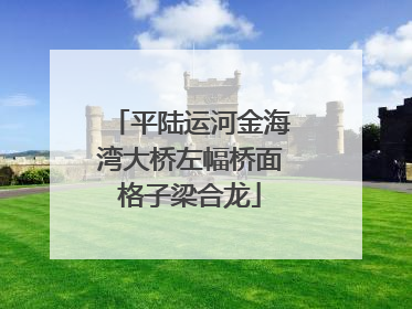 平陆运河金海湾大桥左幅桥面格子梁合龙