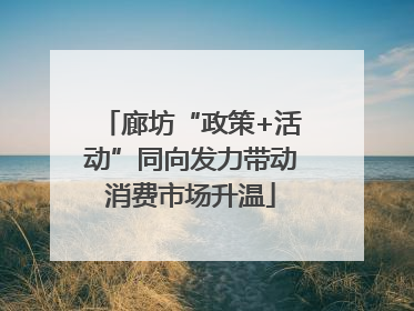 廊坊“政策+活动”同向发力带动消费市场升温
