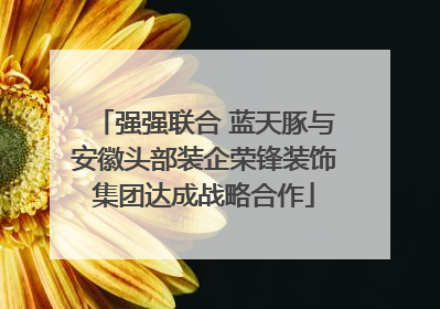 强强联合 蓝天豚与安徽头部装企荣锋装饰集团达成战略合作