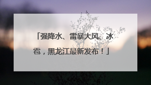 强降水、雷暴大风、冰雹，黑龙江最新发布！