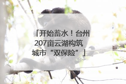 开始蓄水！台州207亩云湖构筑城市“双保险”