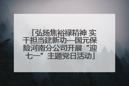 弘扬焦裕禄精神 实干担当建新功—国元保险河南分公司开展“迎七一”主题党日活动
