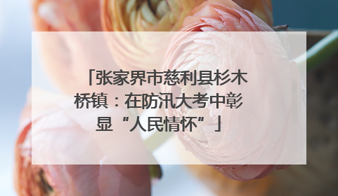 张家界市慈利县杉木桥镇：在防汛大考中彰显“人民情怀”