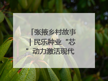 张掖乡村故事｜民乐种业“芯”动力激活现代农业新活力