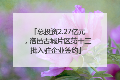 总投资2.27亿元，洛邑古城片区第十三批入驻企业签约