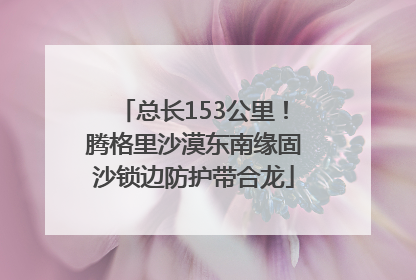 总长153公里！腾格里沙漠东南缘固沙锁边防护带合龙