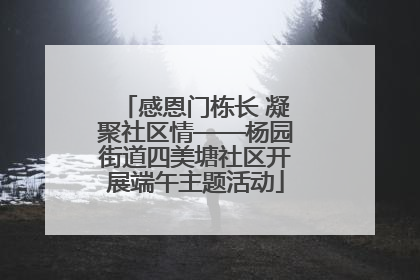 感恩门栋长 凝聚社区情——杨园街道四美塘社区开展端午主题活动