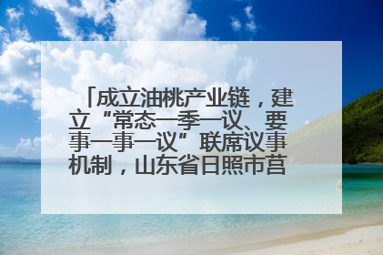 成立油桃产业链，建立“常态一季一议、要事一事一议”联席议事机制，山东省日照市莒县果庄镇——13个党小组“全周期”育果