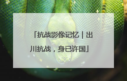 抗战影像记忆｜出川抗战，身已许国