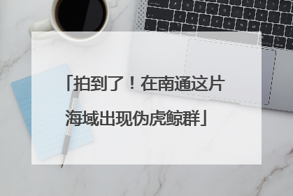 拍到了！在南通这片海域出现伪虎鲸群