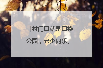 村门口就是口袋公园，老少同乐