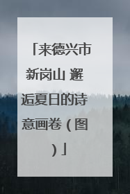 来德兴市新岗山 邂逅夏日的诗意画卷（图）