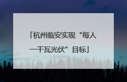 杭州临安实现“每人一千瓦光伏”目标