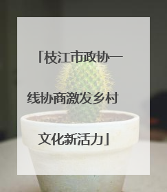枝江市政协一线协商激发乡村文化新活力