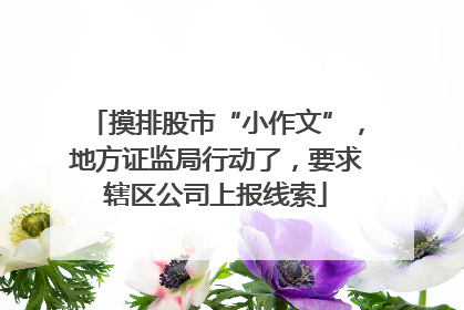摸排股市“小作文”，地方证监局行动了，要求辖区公司上报线索