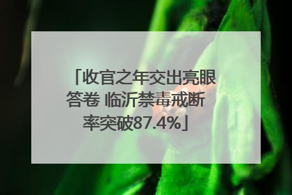 收官之年交出亮眼答卷 临沂禁毒戒断率突破87.4%