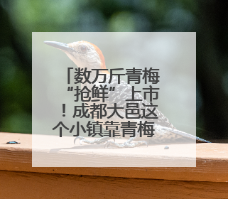数万斤青梅“抢鲜”上市！成都大邑这个小镇靠青梅“酿出”亿元经济