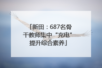 新田：687名骨干教师集中“充电” 提升综合素养