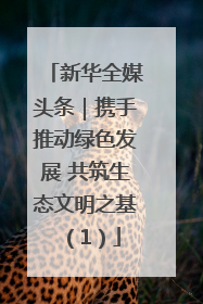新华全媒头条｜携手推动绿色发展 共筑生态文明之基（1）