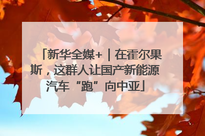 新华全媒+｜在霍尔果斯，这群人让国产新能源汽车“跑”向中亚