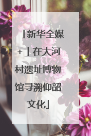 新华全媒+丨在大河村遗址博物馆寻溯仰韶文化