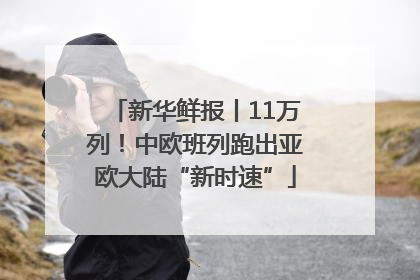 新华鲜报丨11万列！中欧班列跑出亚欧大陆“新时速”