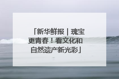 新华鲜报｜瑰宝更青春！看文化和自然遗产新光彩
