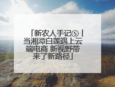 新农人手记⑤丨当湘潭白莲遇上云端电商 新视野带来了新路径