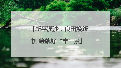 新平漠沙：良田焕新机 绘就好“丰”景
