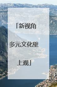 新视角 多元文化壁上观