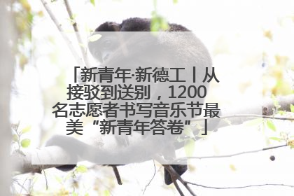 新青年·新德工丨从接驳到送别，1200名志愿者书写音乐节最美“新青年答卷”
