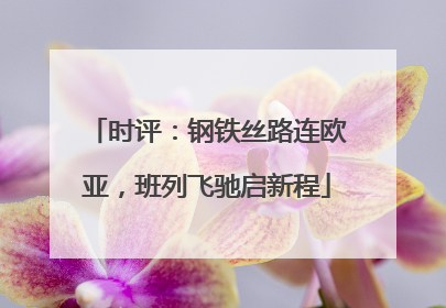 时评：钢铁丝路连欧亚，班列飞驰启新程