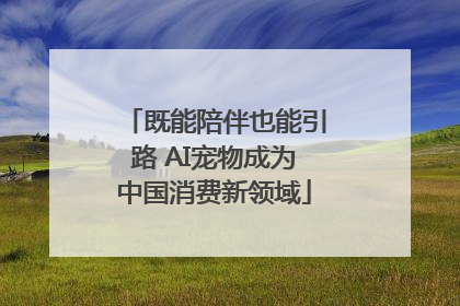 既能陪伴也能引路 AI宠物成为中国消费新领域